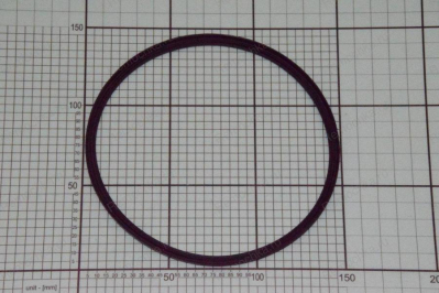 НАПРАВЛЯЮЩАЯ