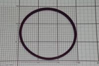 НАПРАВЛЯЮЩАЯ