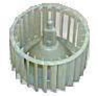 КРЫЛЬЧАТКА