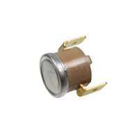 Термостат 110°C TY60 для кофемашин Bianchi E012